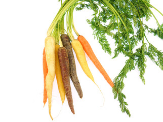 Colorful organic carrot isolated on white background