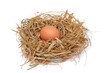 © LivroomStudio - Chicken eggs in the nest isolated on a white background