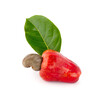 Cashews or Caju Fruit isolated on white background