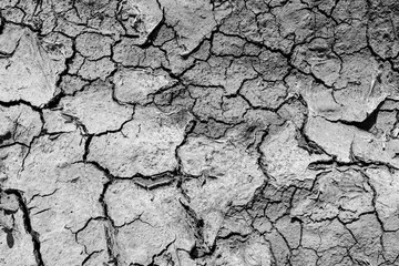 Background in black and white cracked dry earth with dry grass, drought