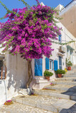 Fototapeta Uliczki - Street view of traditional houses and a colorful bougainvillea tree in Ermoupolis, Syros island, Greece
