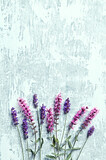 Fototapeta Lawenda - Lavender and Sage Flowers on painted wooden background. Flat lay. Copy-space