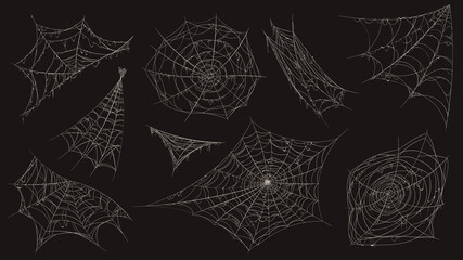 spider web. halloween cobweb spooky decoration. corner with old dusty spiderweb hanging. creepy deco