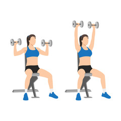 Wall Mural - Woman doing Dumbbell overhead shoulder press exercise. Flat vector illustration isolated on white background