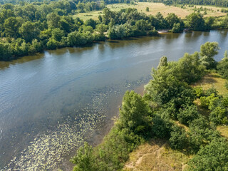 Poster - River bank in summer. Aerial drone view.