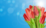 Fototapeta Tulipany - Realistic Natural Tulips Flower Background With Sky