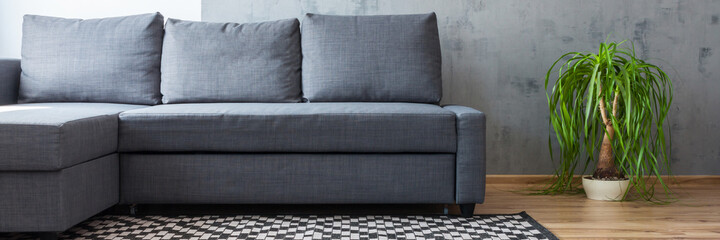 Wall Mural - Living room with a gray sofa. Concrete wall, geometric woven carpet and copy space. The plant on the wooden floor. Banner. Panorama.