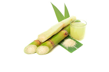 Wall Mural - green sugar cane and brown sugar on white isolate background