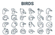 linear pack of birds line icons. linear vector icons set such as toucan, owls, flamingo, peacock, bird. vector illustration.