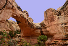 Hickman Arch On A Sunny Day  In Capitol Reef Park National Park,  Utah
