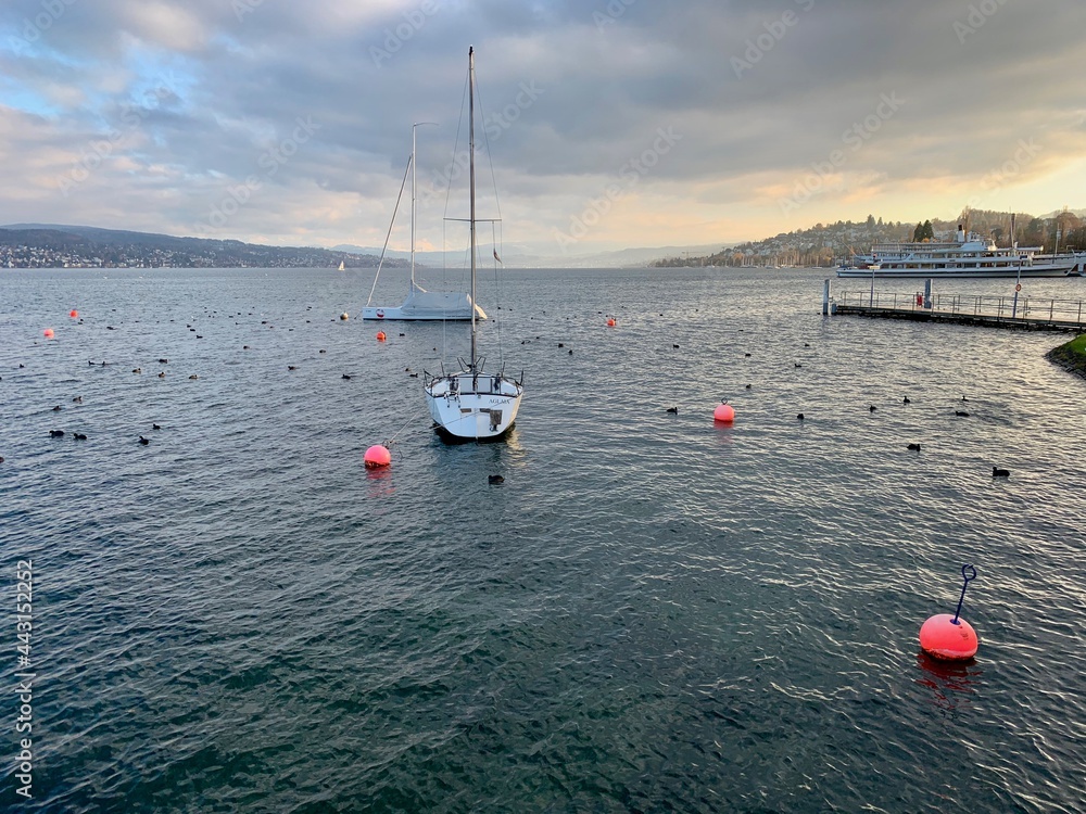 Segelboote / Segelschiffe im Abendlicht auf dem Zürichsee - See in der ...