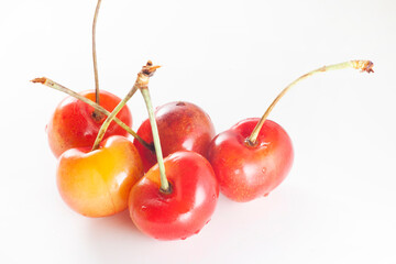 Rainier cherries in white background