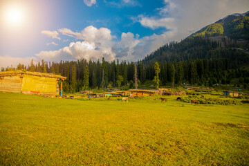 Green mountain landscape. Beautiful morning sunrise scenery of Nagin Valley, Kashmir.