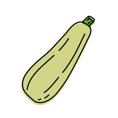 Wall Mural - Zucchini. Vegetable sketch. Color simple icon. Hand drawn vector doodle illustration