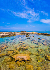 Wall Mural - Flooded in the Mediterranean Sea