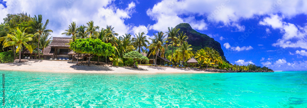 Dream island. tropical paradise. Best beaches of Mauritius island, luxury resorts of Le Morne - obrazy, fototapety, plakaty 