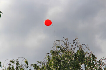 Wall Mural - balloon that has escaped to freedom soars in the stormy sky