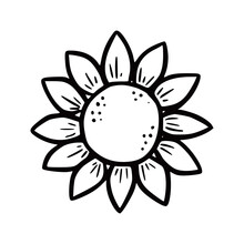 Hand Drawn Garden Sunflower. Doodle Sketch Style. Drawing Line Simple Sunflower. Isolated Vector Illustration.