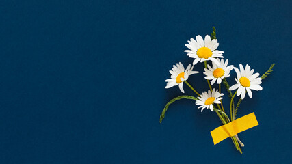 bouquet of chamomile flowers taped to bright blue background. copyspace. minimal concept.