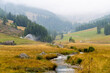 © Lavinia - Veduta autunnale di un fiume che scorre in mezzo ai prati gialli a settembre in valle d'Aosta a Vens in Italia. Vacanze. Viaggiare. Settembre. Autunno.
