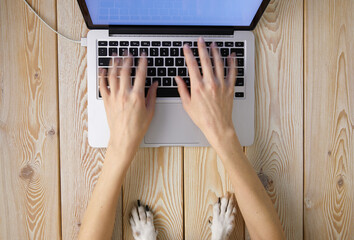 Poster - Image of woman’s hands typing fast on laptop keyboard with dog’s paws on same tabletop. View from above. Remote work from home concept image.
