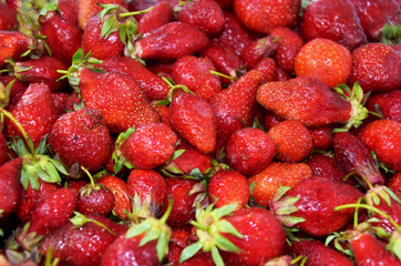 Strawberry background. Strawberry. Food background. Fresh organic berries close-up. Fruit background