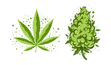 Cute Funny Happy Marijuana Weed Bud With Cannabis Vape.Vector Flat Cartoon Character Illustration Icon Design. Cannabis With Graffiti Crown Isolated On White Background.Weed Bud,marijuana,medical Bud