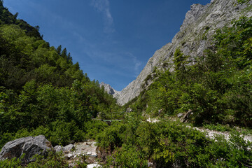 Wall Mural - Wanderung von Hammersbach über die Höllentalklamm auf den Höllentalanger und über den Stangensteig zurück.