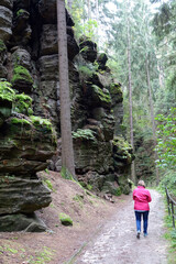 Wall Mural - Frau auf dem Malerweg im Uttewalder Grund