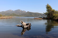 View From The Wild Beach With Fallen Trunk To The Calm Sea And Mountain Islands With Pine Trees In Mist. Mouth Of The River In The Aegean Sea, Background For Vacation And Travel