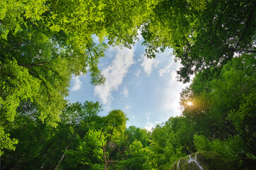 Green nature frame of spring wood