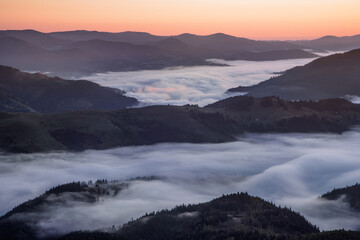 Wall Mural - Amazing foggy morning. Sunrise. Landscape with high mountains. Forest of the pine trees. The early morning mist. Touristic place. Natural scenery.