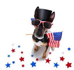 Wall Mural - independence day 4th of july dog