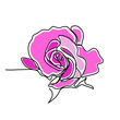 Continuous line drawing of a rose. Floral and beauty concept. Pink flower. One-line drawing vector illustration isolated on white
