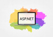 asp.net  programming language.  word asp.net on laptop