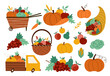 Autumn harvest set. Vector farm vegetables, fruit and berry collection with pumpkins, carrot, apple, cabbage, corn, pear, grapes. Funny fall illustration with basket, truck, wheelbarrow, cornucopia