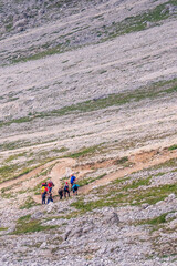 Wall Mural - mountain hikers on a winding path in the alps mountain