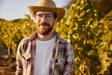 Smiling Bearded Farmer Standing In Vineyard