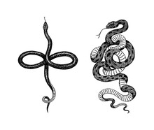 Pit Viper. Crotaline Snake Or Pit Adders. Eastern Racer Or Coluber Constrictor. Venomous Reptilia Illustration. Engraved Hand Drawn In Old Sketch, Vintage Style For Sticker And Tattoo.