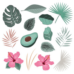  Vector set with wild tropical rainforest plants leaves and flowers. Isolated elements of tropic design
