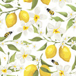 Summer pattern with lemon branch, jasmine flowers and bees. Background with citrus fruits, vector illustration, print.	