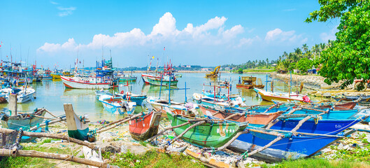 Poster - Panorama of Mirissa Port, Sri Lanka