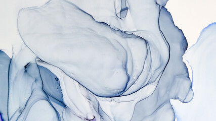 Fototapeta Alcohol ink. Grey Flow. Blue Marble Texture.
