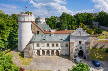 Wall Mural - Zamek w Przemyślu