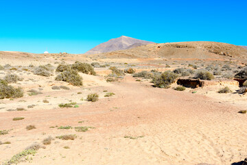 Wall Mural - Footpath to famous Papagayo beaches in Lanzarote