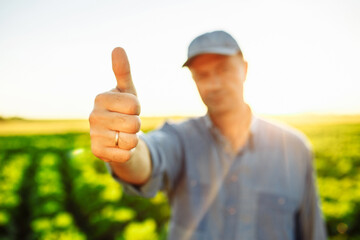 Wall Mural - Man farmer shows thumb up with his hand. Agronomist approves good season harvest by like sign. New crop and fruitful agricultural year for trading and harvesting.