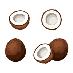 Wall Mural - Vector set of coconuts isolated on a white background.