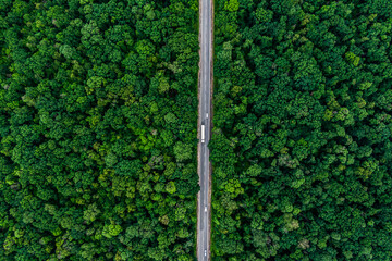 Wall Mural - white truck drives on an asphalt road through a green forest. Drone top view. aerial view