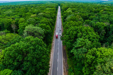 Wall Mural - red cargo truck drives on an asphalt highway through a green forest. Drone top view