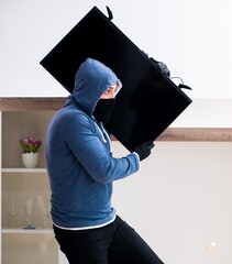 Wall Mural - Man burglar stealing tv set from house